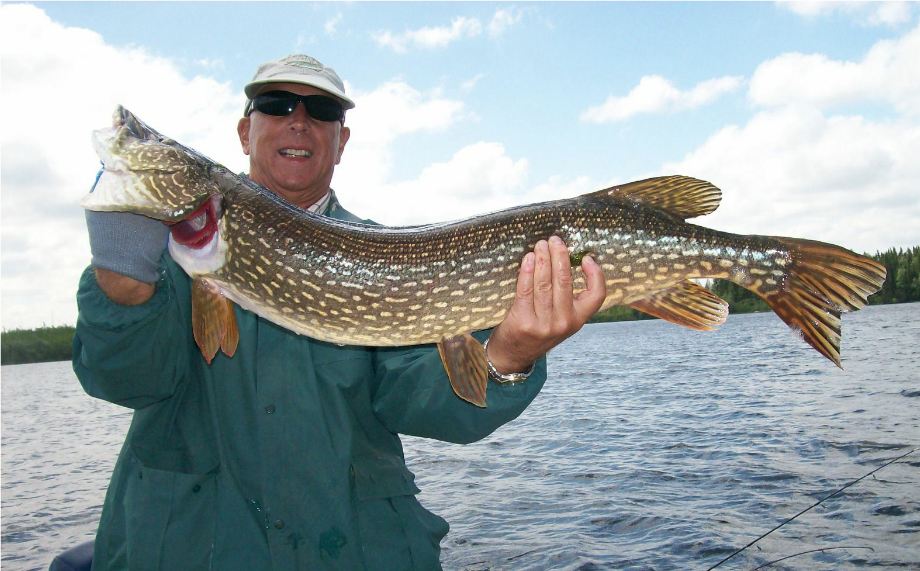 Cormorant Lake The Pas Manitoba Canadian Pike Walleye Fishing